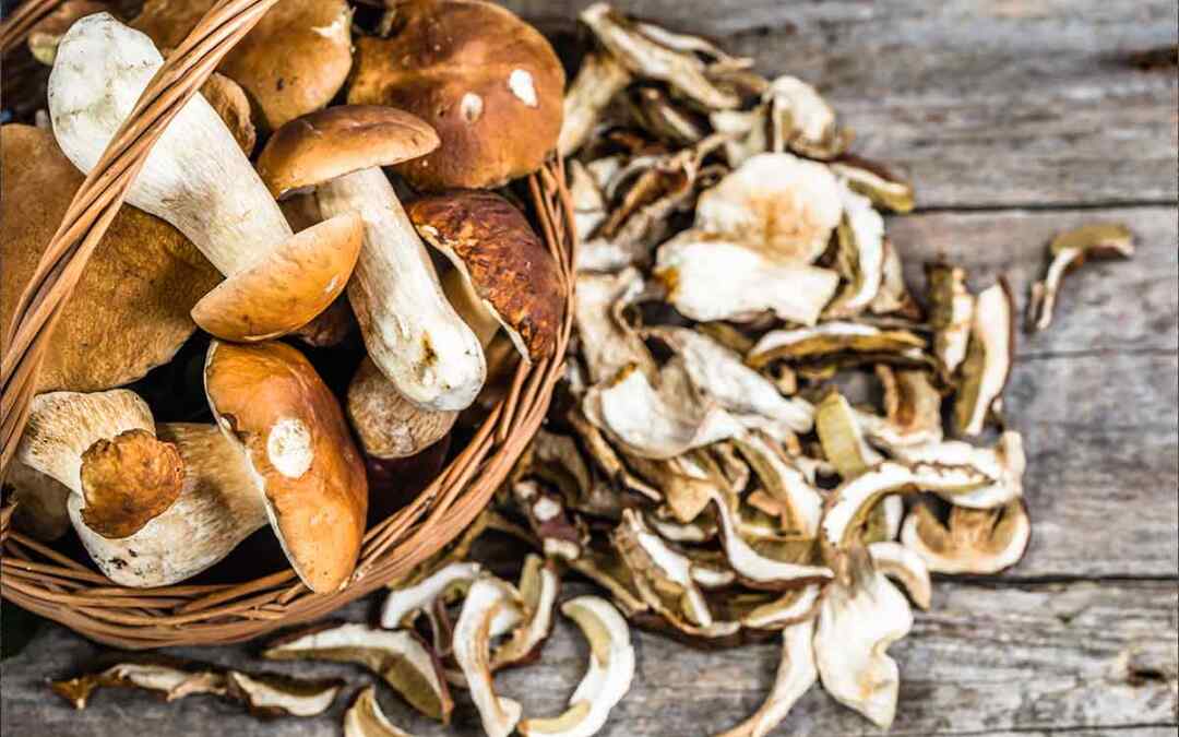 Come cucinare i funghi porcini? 5 ricette gustose