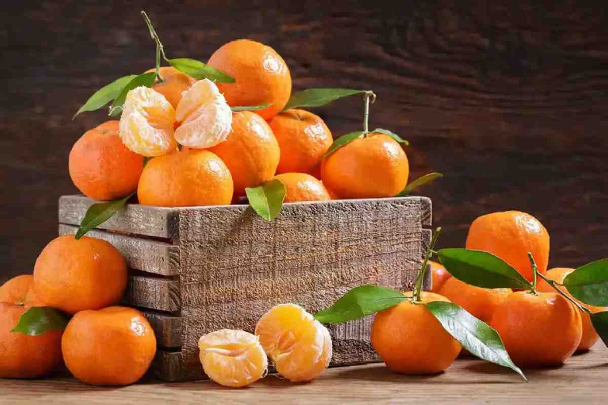 ricette con mandarini