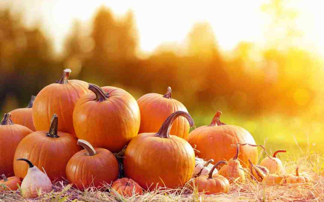 Proprietà e benefici della zucca