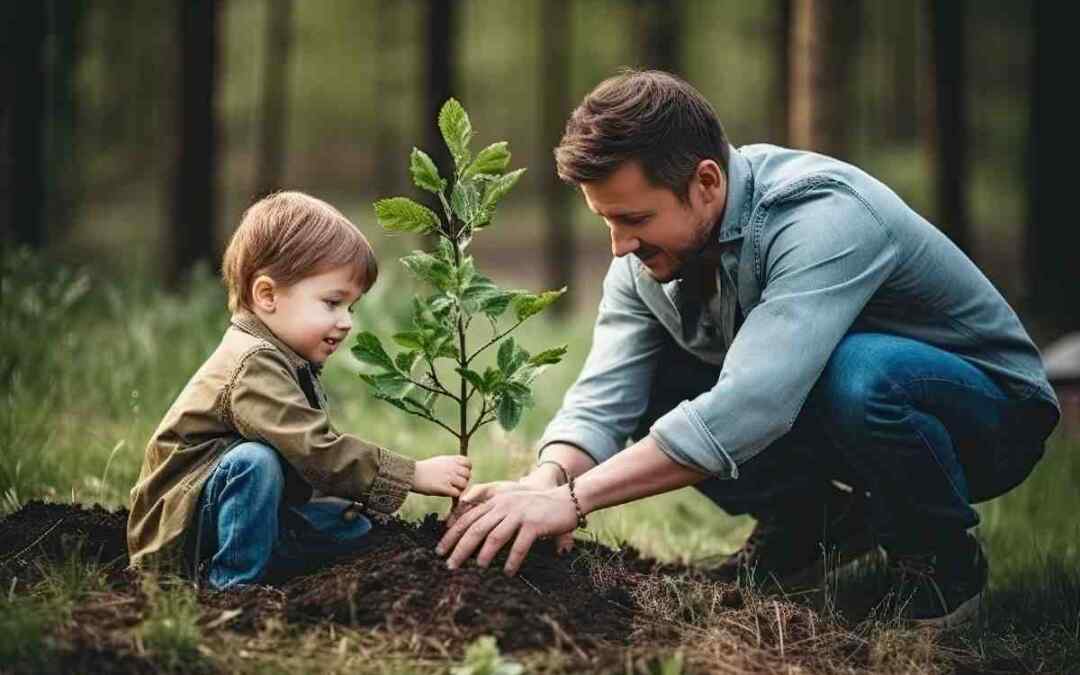 Attestato Di Sostenibilità