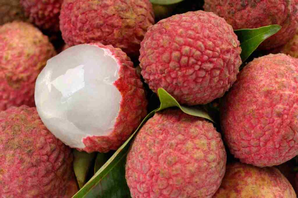 proprietà del litchi