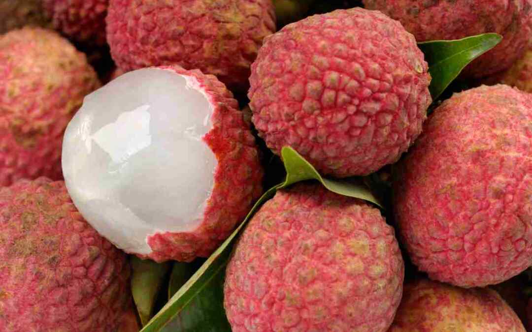 Litchi, proprietà e benefici